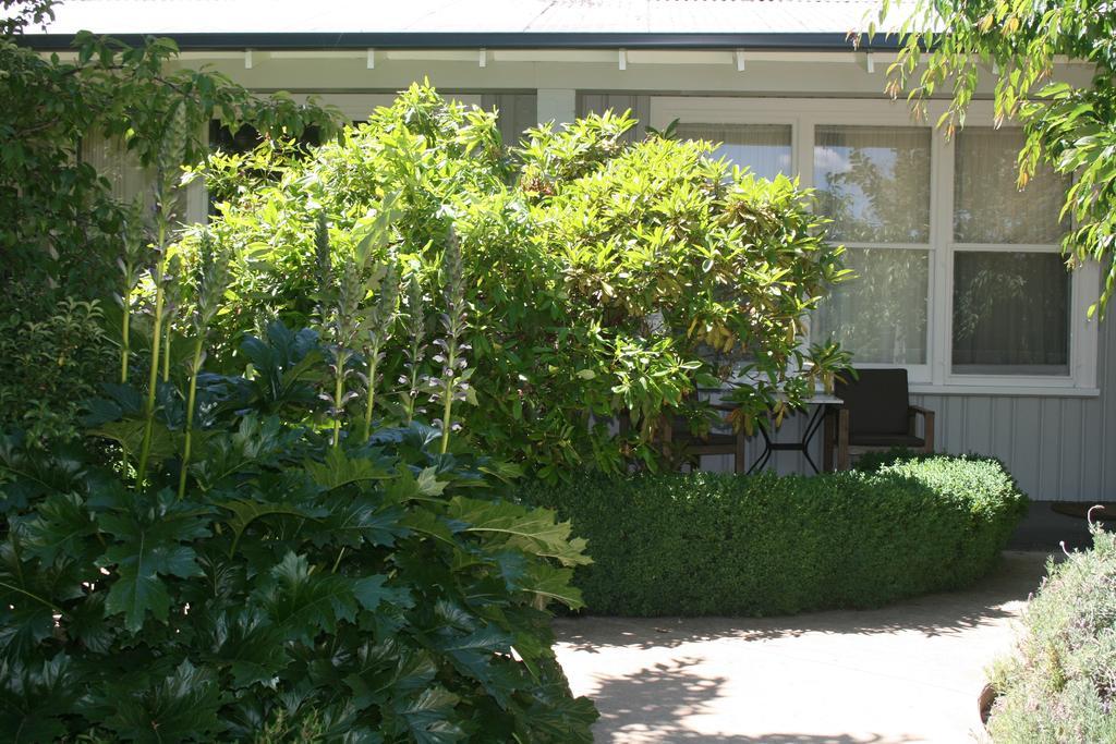 Elm Lodge Брайт Екстериор снимка