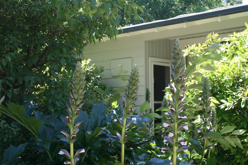 Elm Lodge Брайт Екстериор снимка