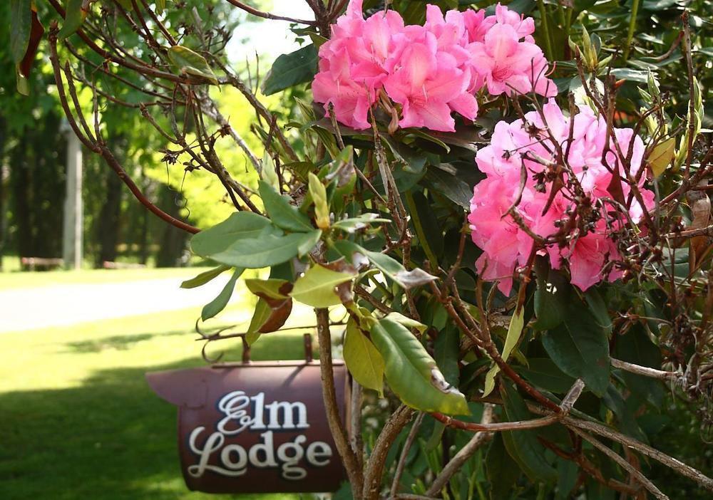 Elm Lodge Брайт Екстериор снимка